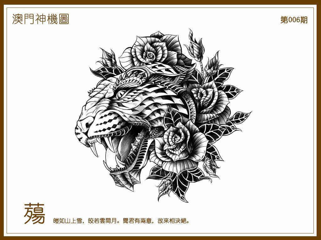 澳门神机图
