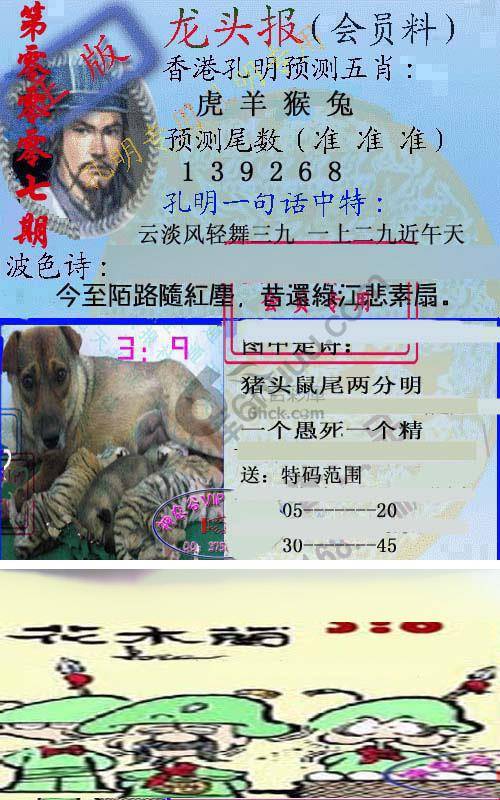 龙头报