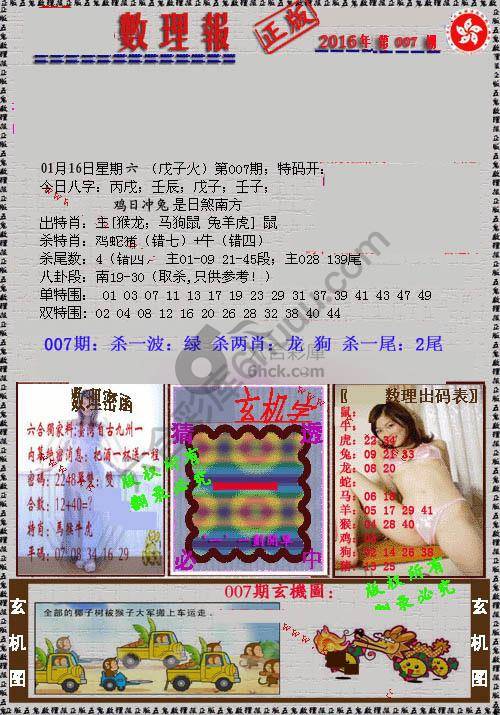 数理报