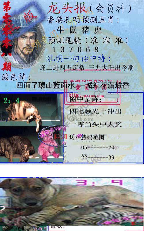 龙头报