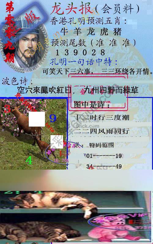龙头报