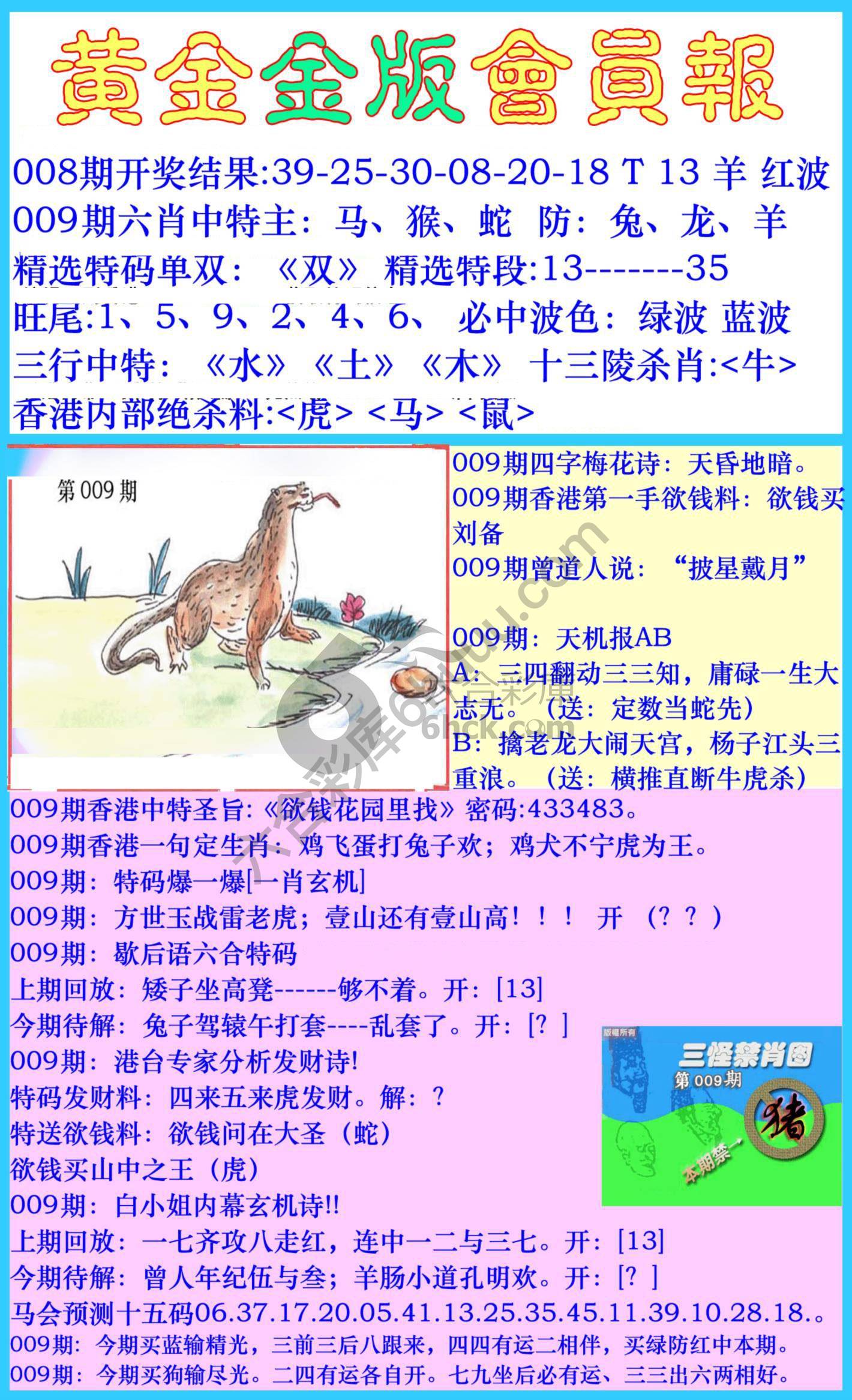 黄金金版会员报
