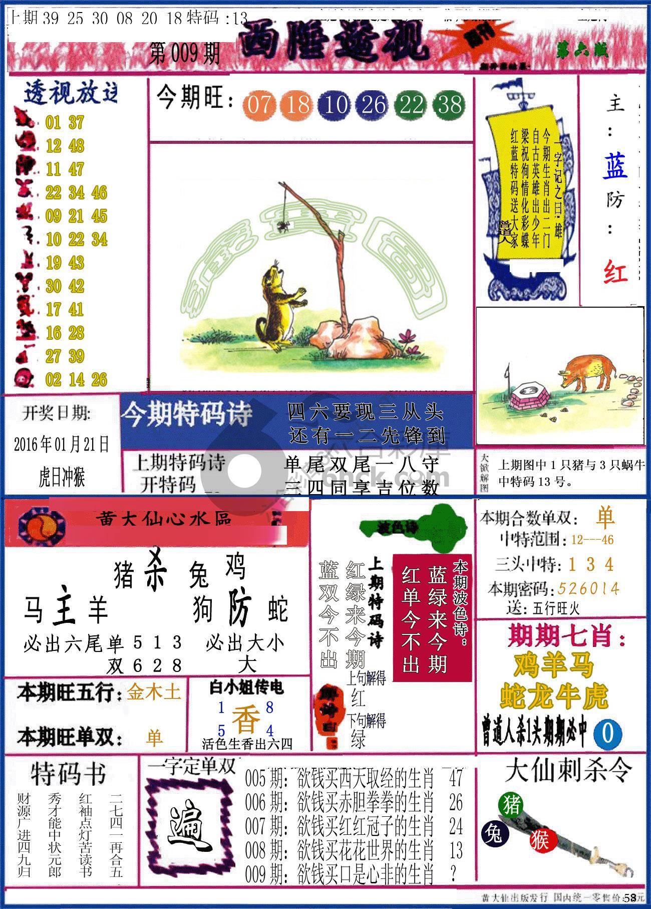 西陲透视（正版）