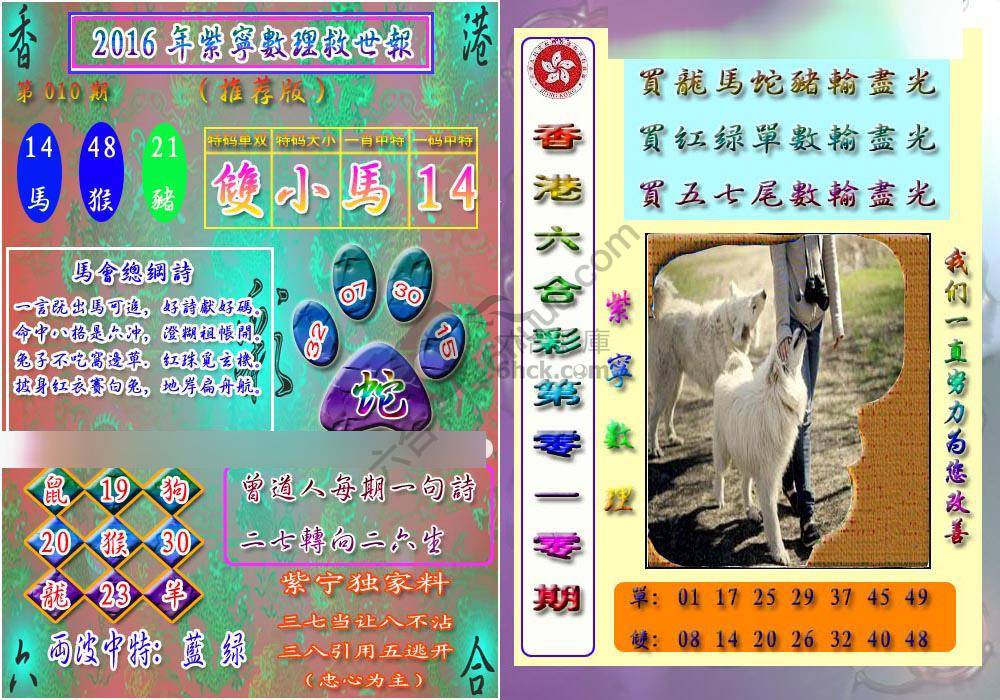 数理救世报