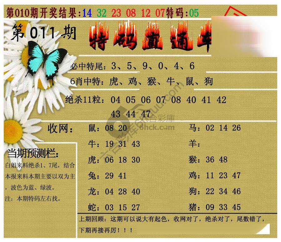 特码直通车
