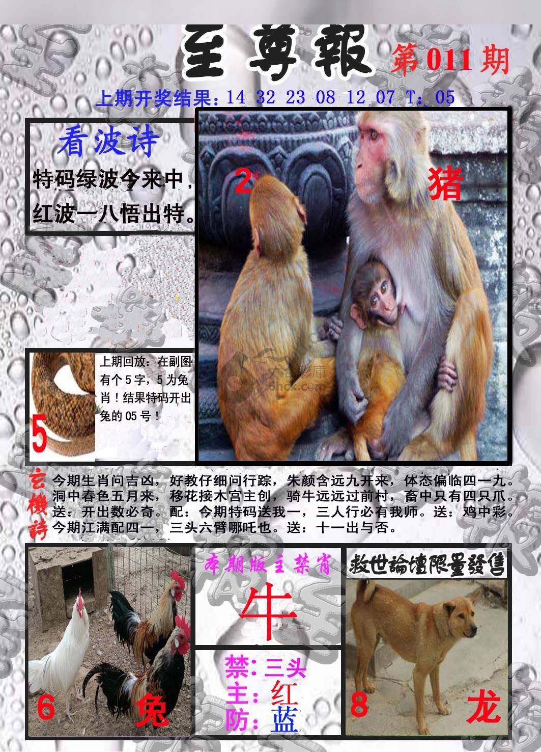 至尊报