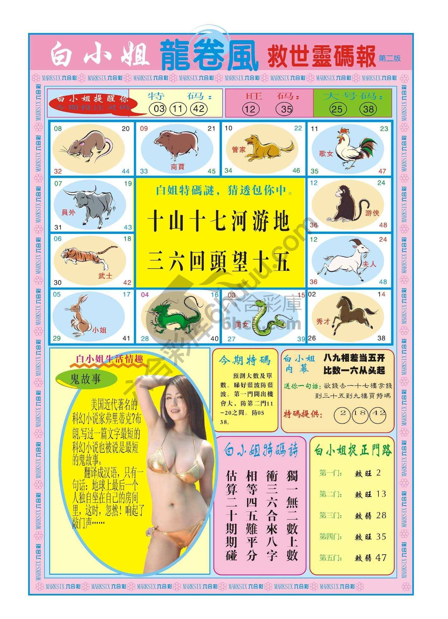 白小姐龙卷风