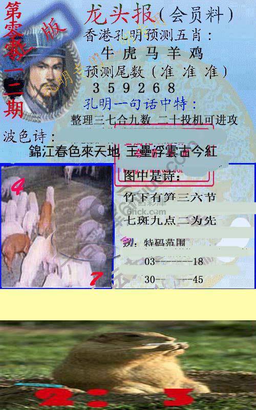 龙头报