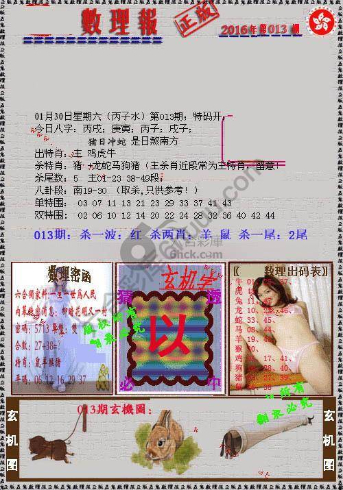 数理报