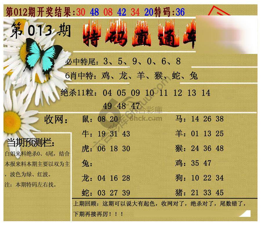 特码直通车
