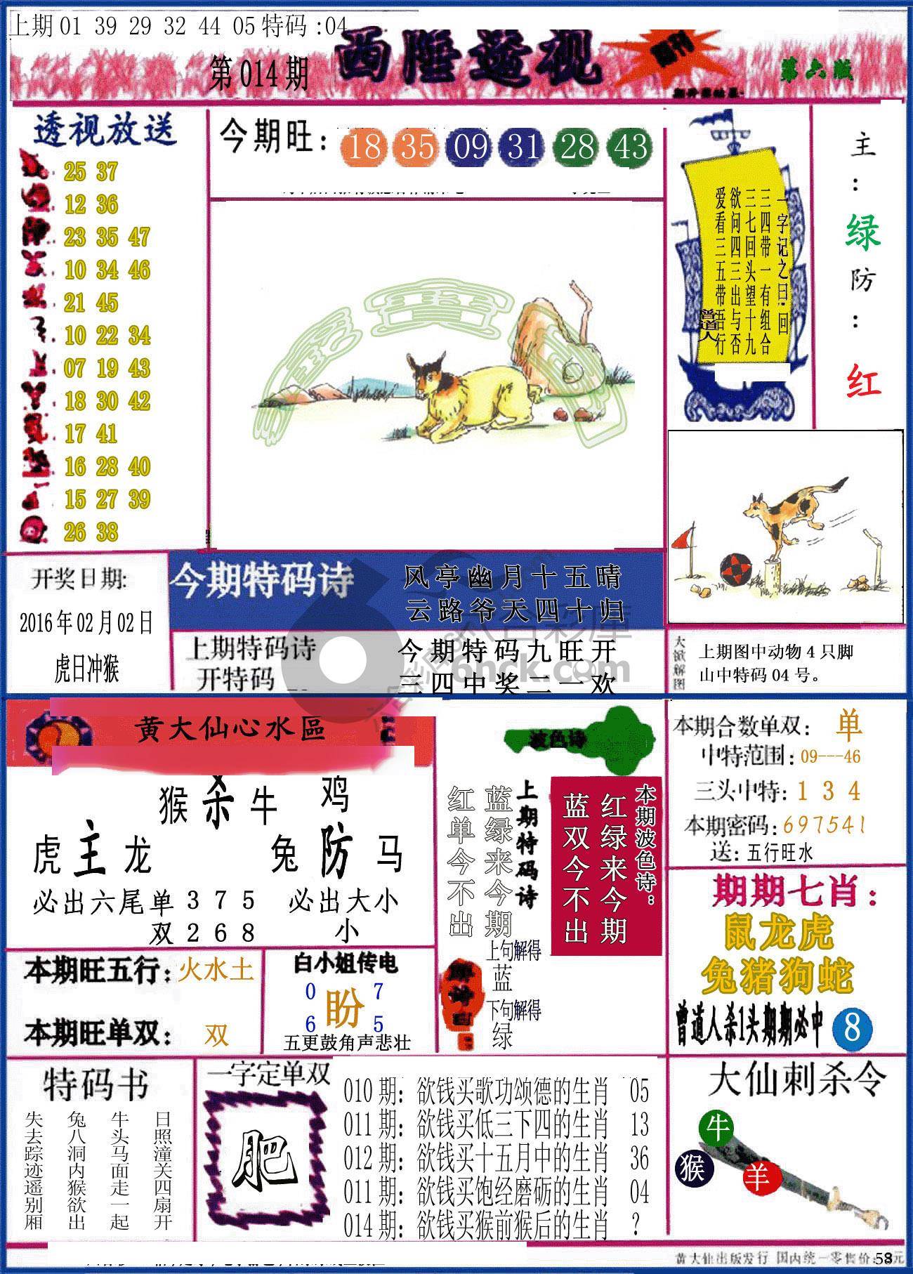 西陲透视（正版）