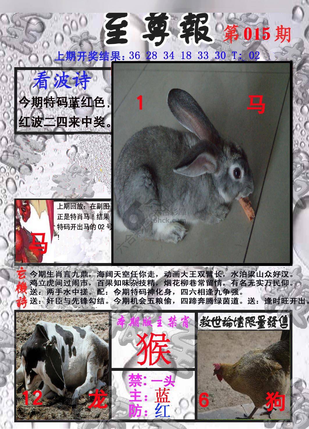 至尊报