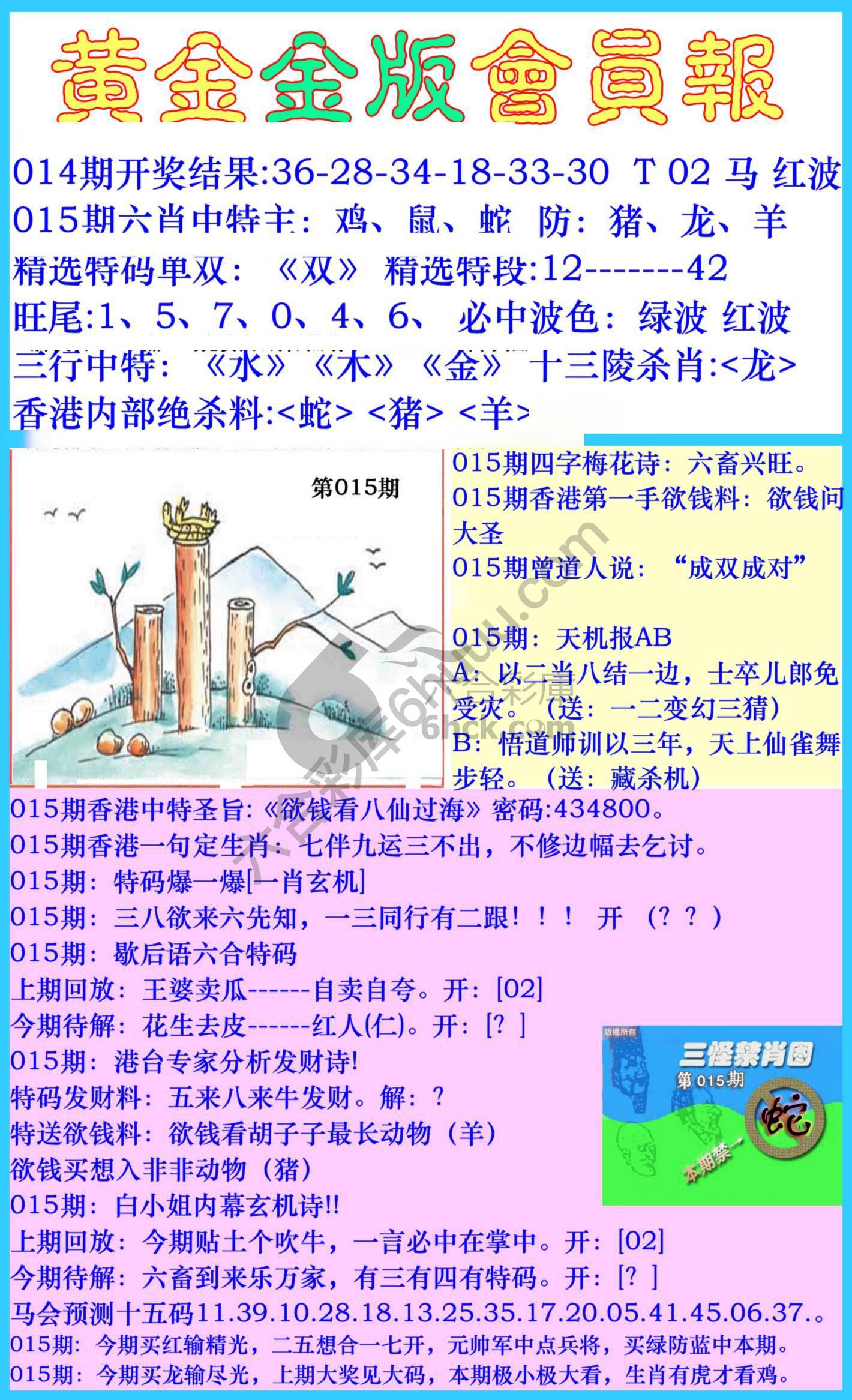 黄金金版会员报