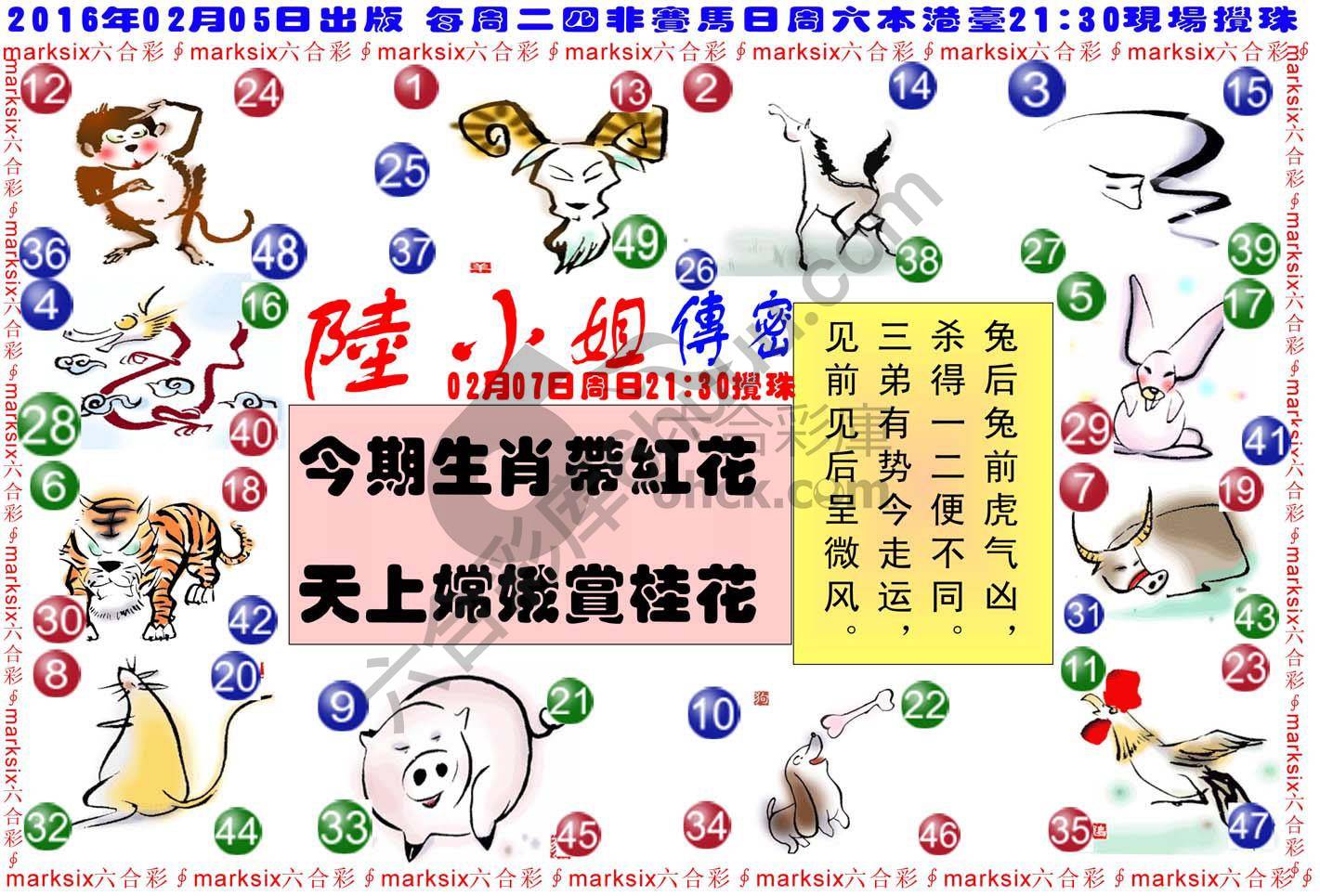 陆小姐传密