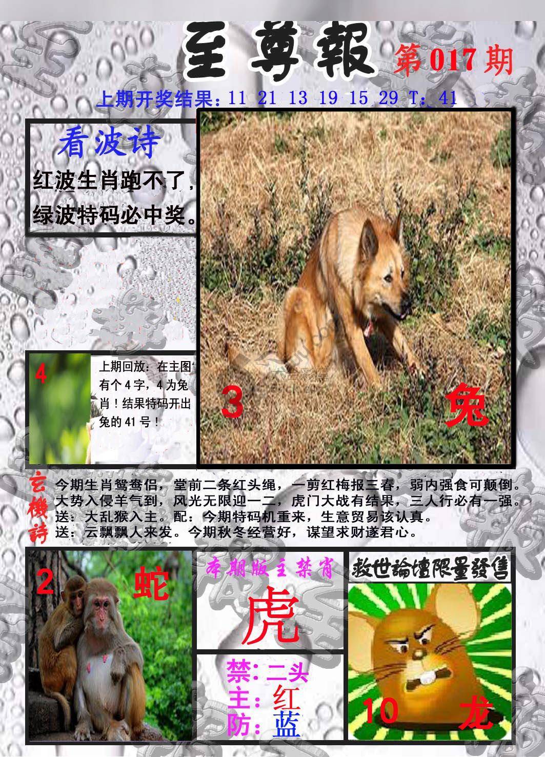 至尊报