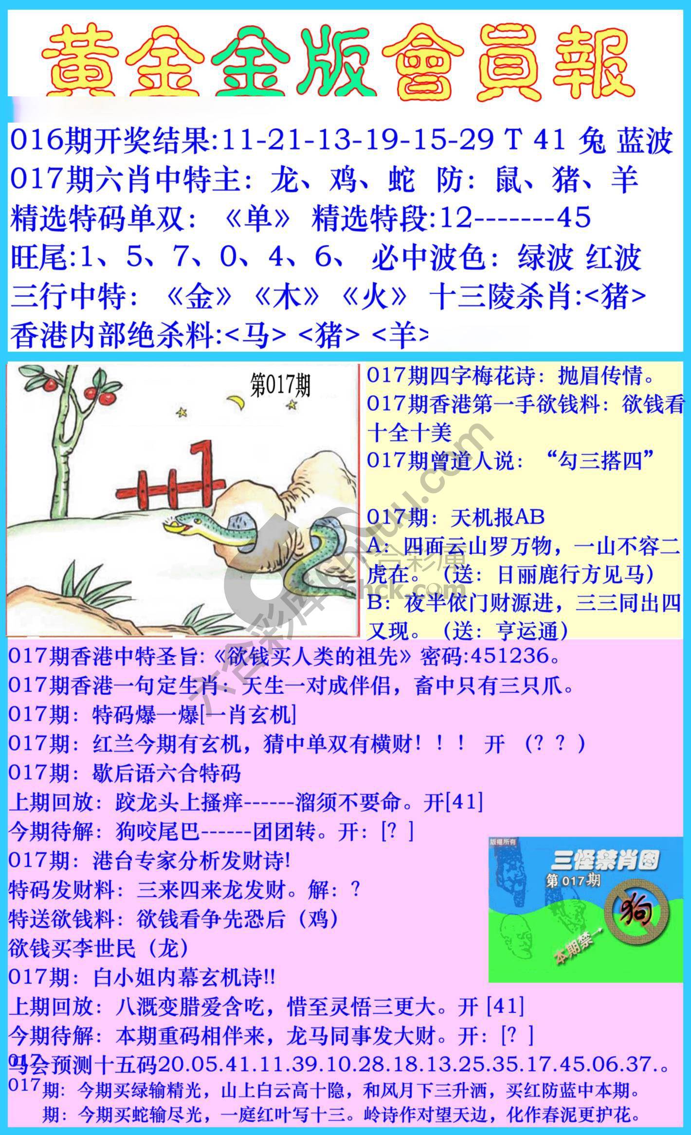 黄金金版会员报