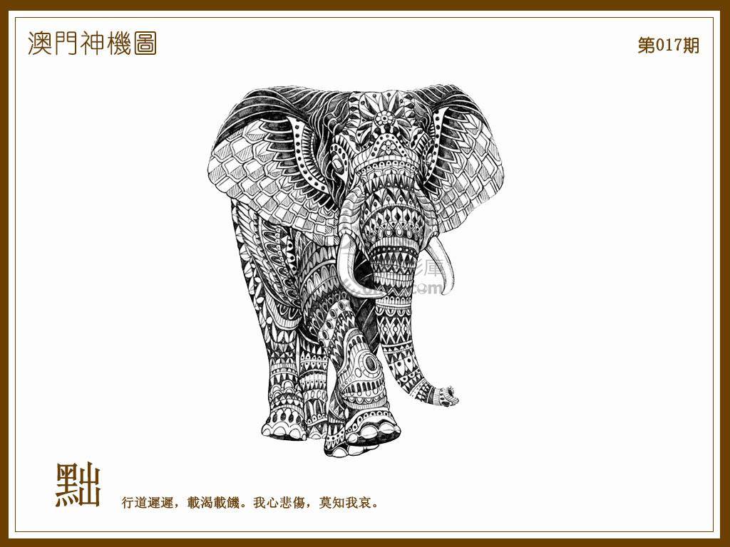 澳门神机图