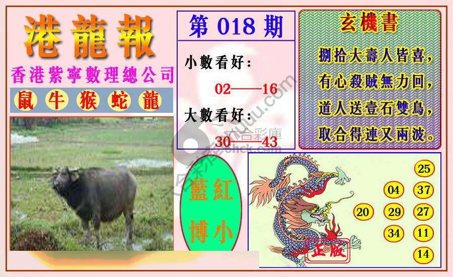 港龙报