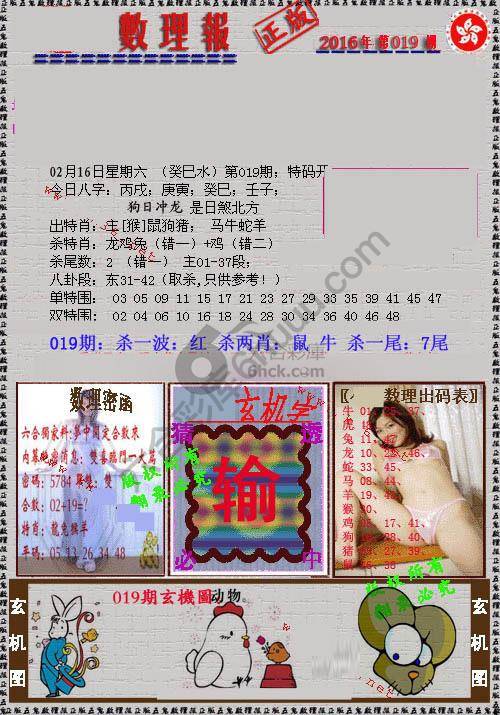 数理报