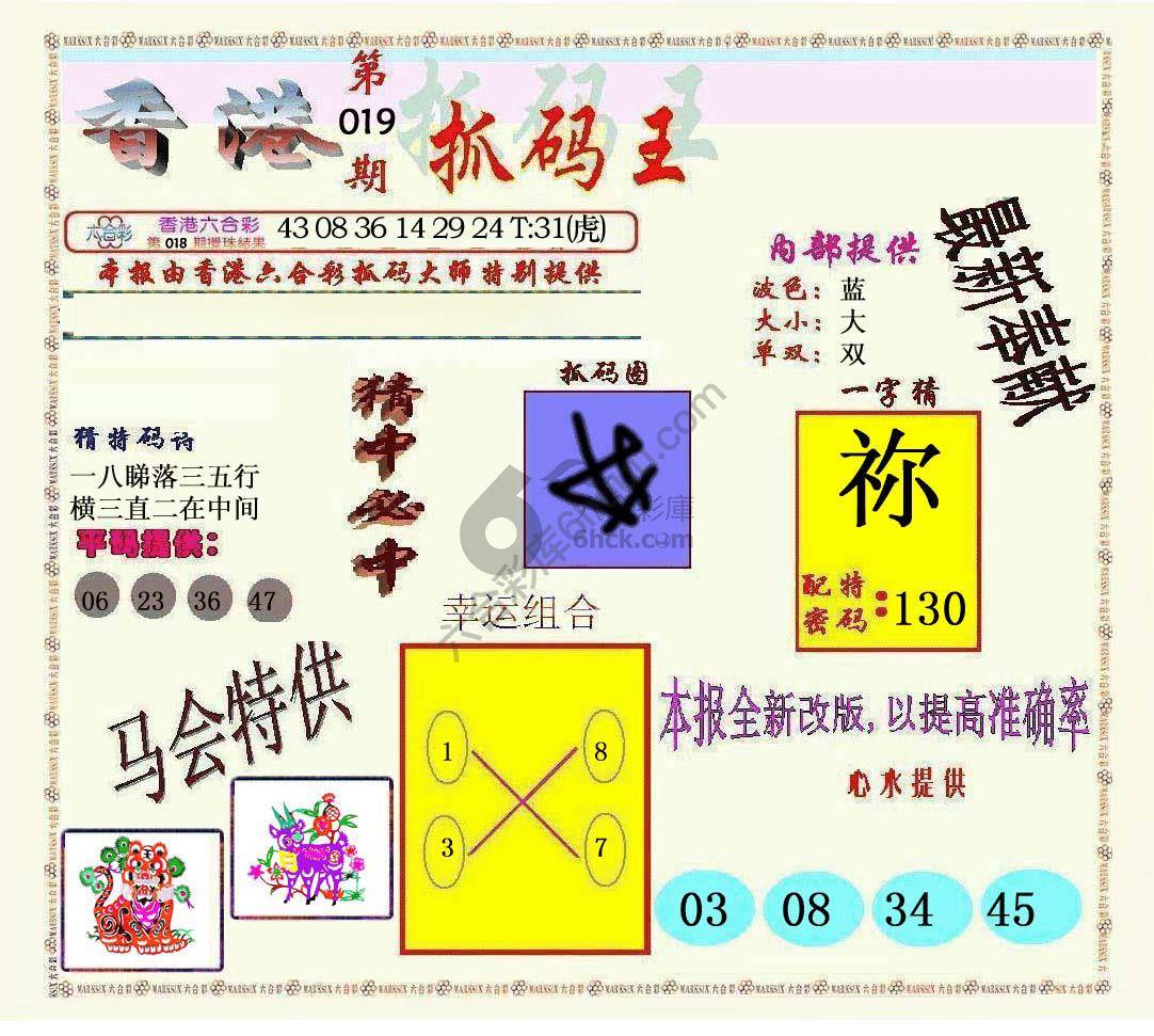 新抓码王