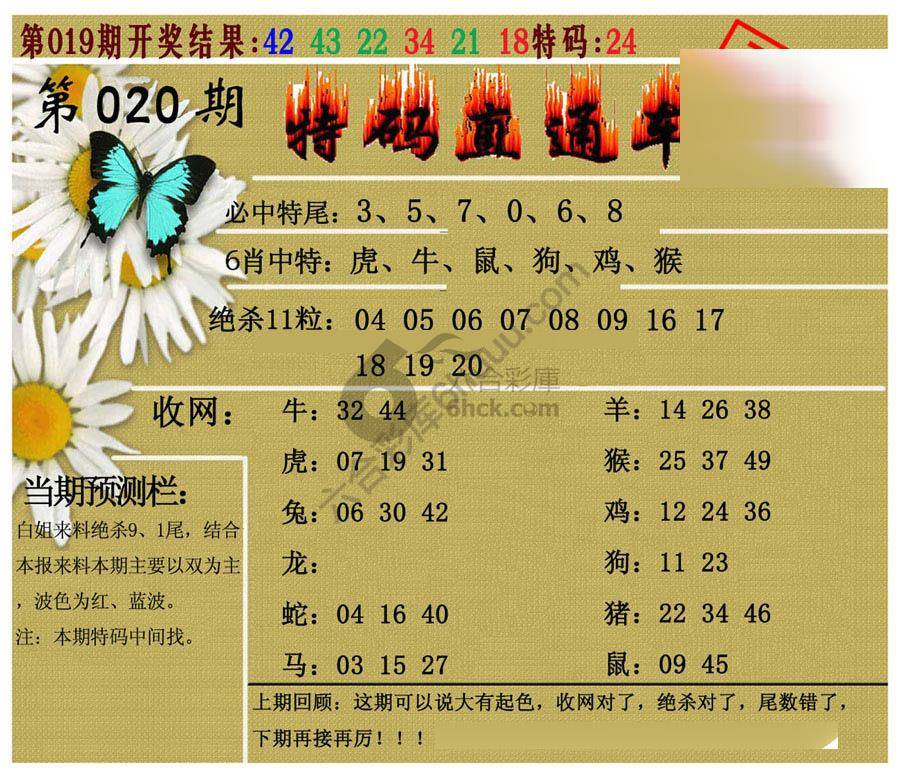 特码直通车
