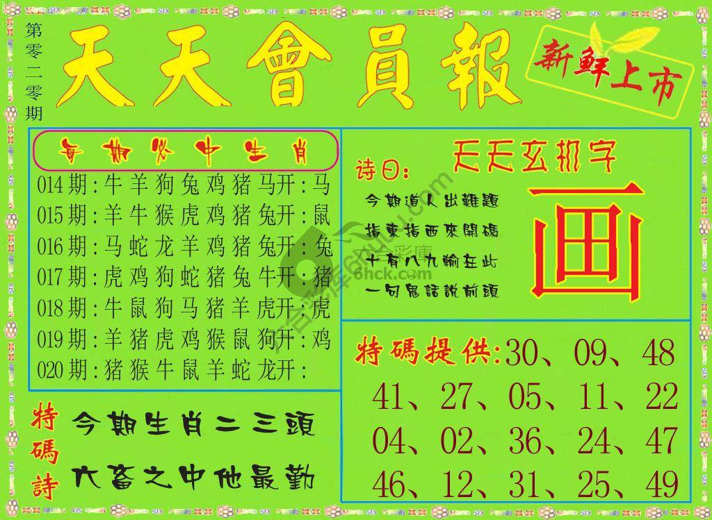 天天会员报