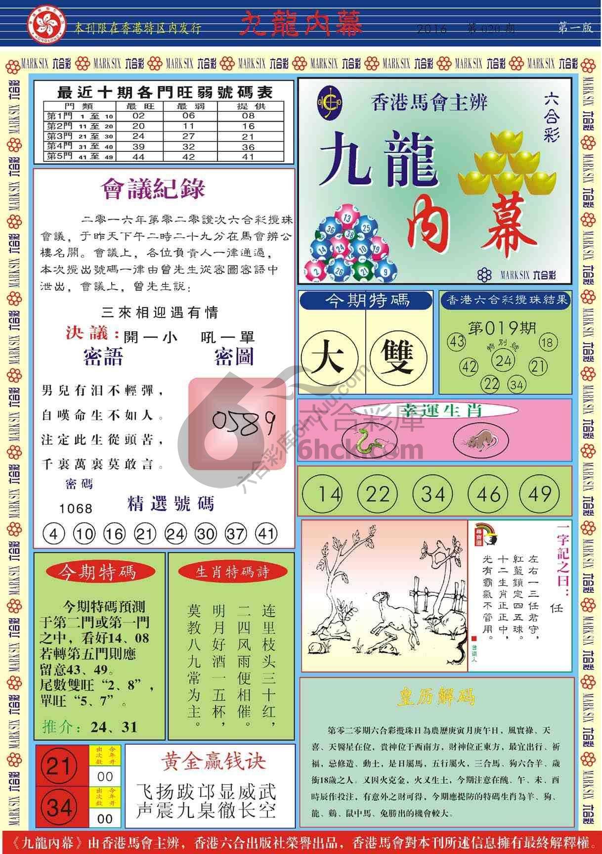 九龙内幕