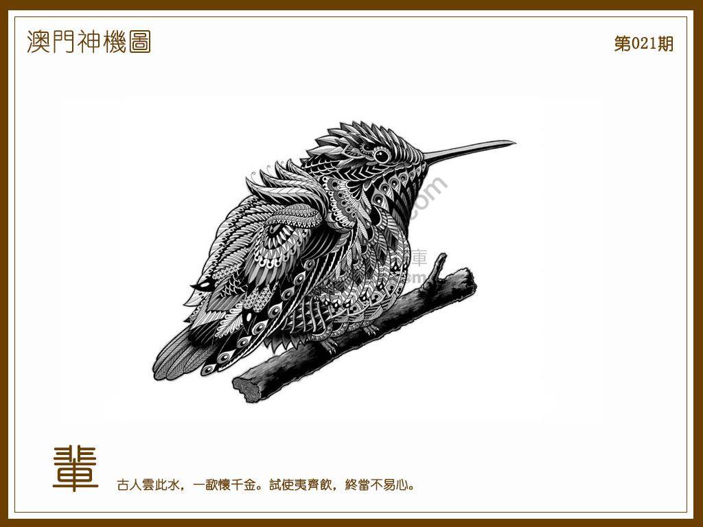 澳门神机图