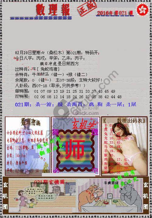 数理报