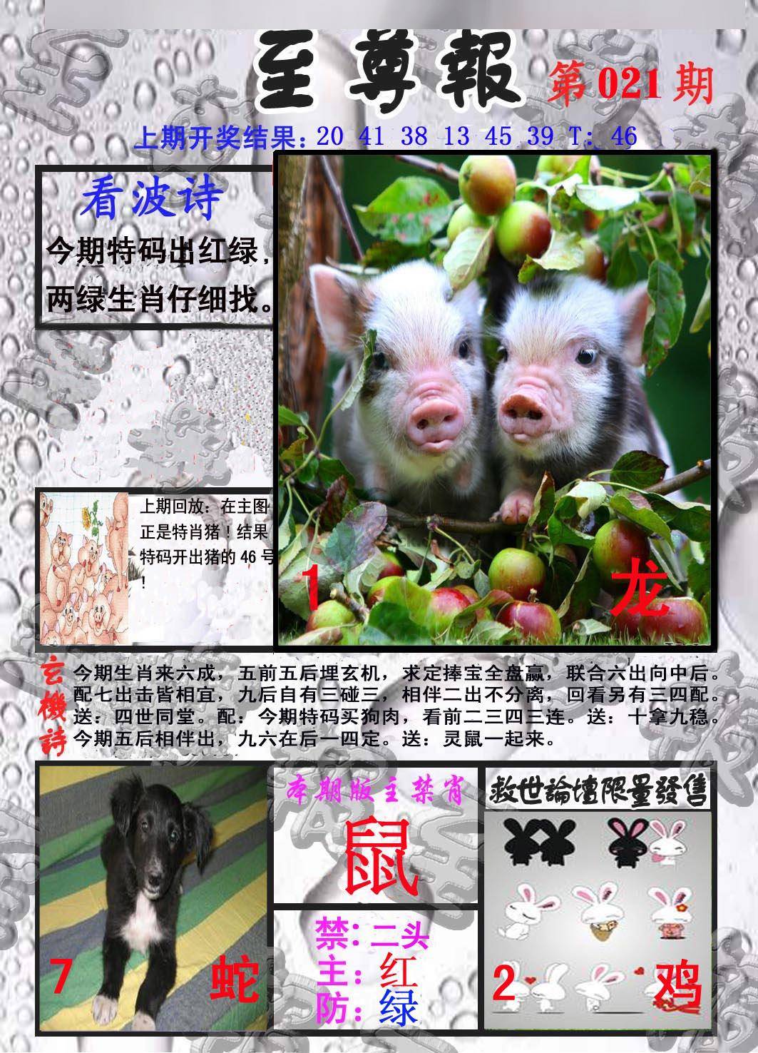 至尊报