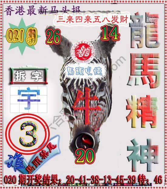 香港马头报