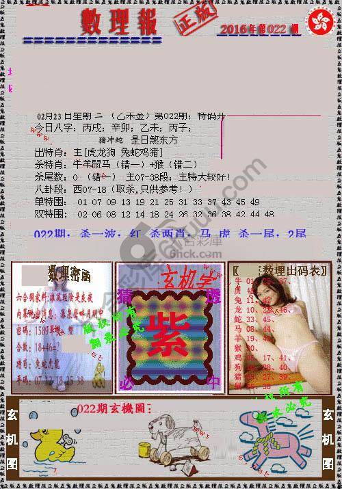 数理报