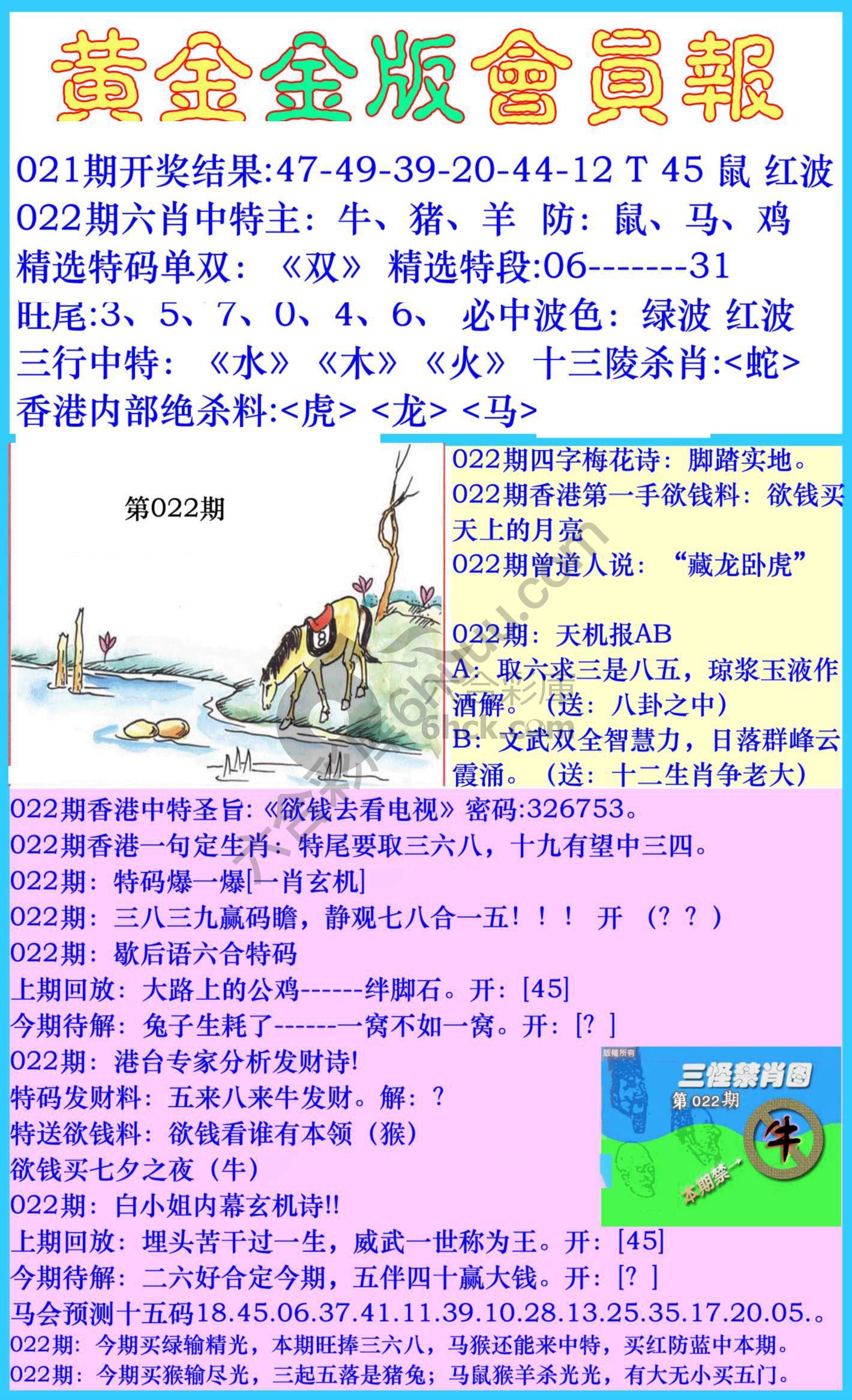 黄金金版会员报
