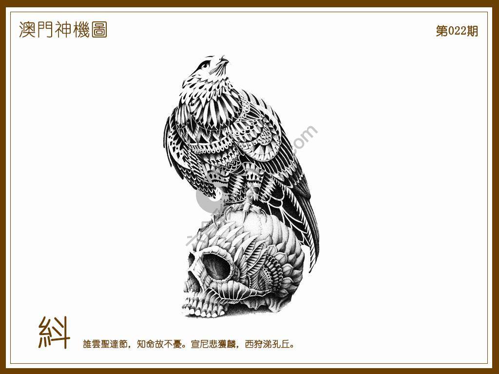澳门神机图