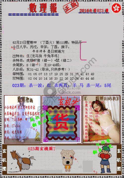 数理报