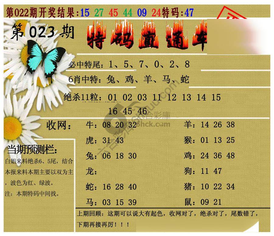 特码直通车