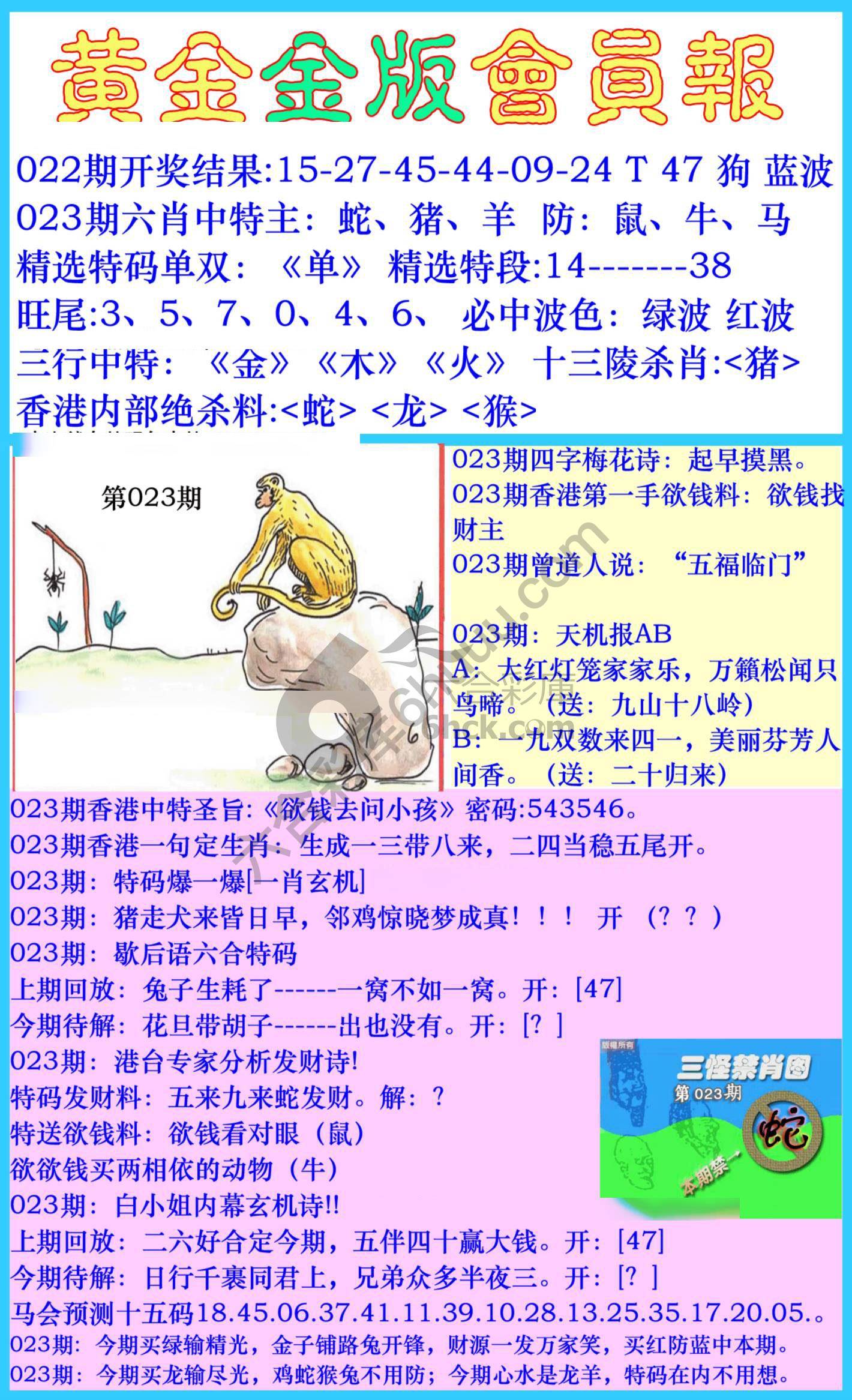 黄金金版会员报