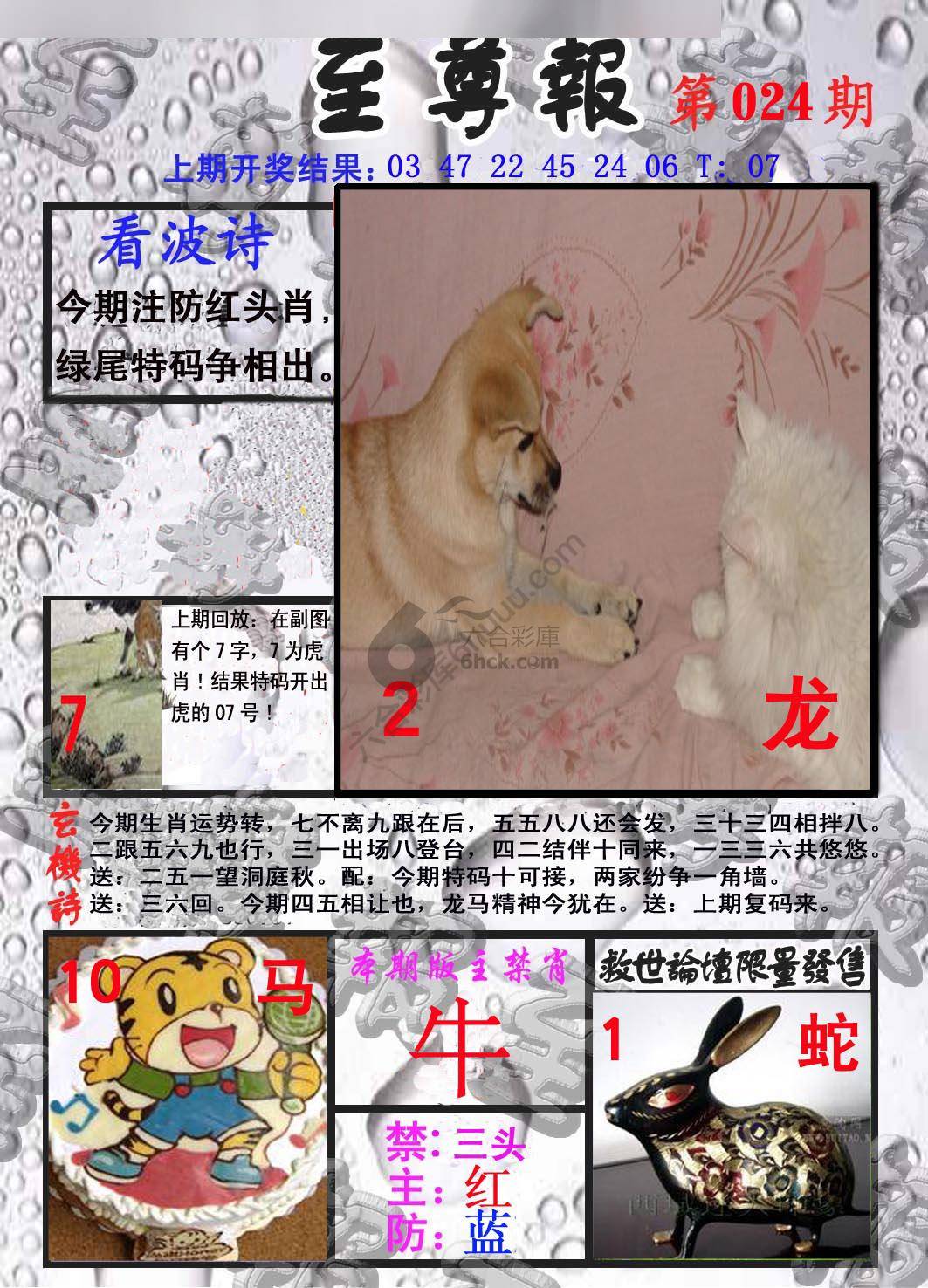 至尊报
