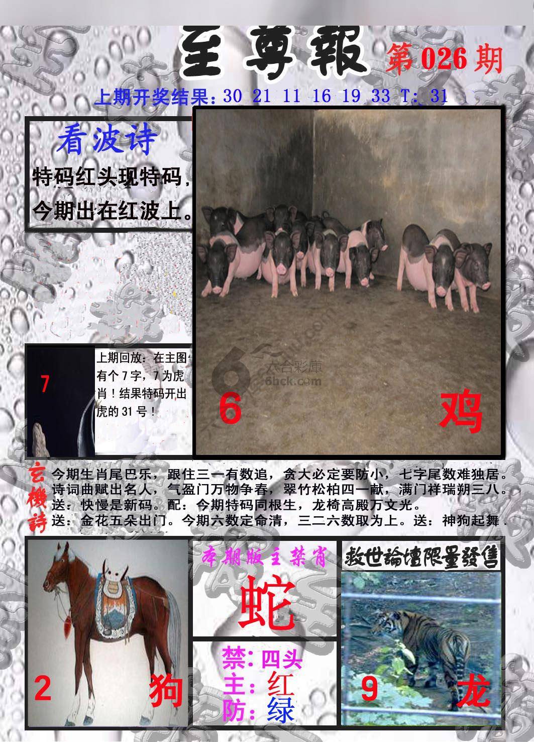 至尊报