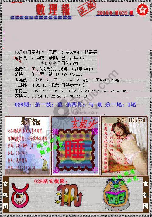 数理报
