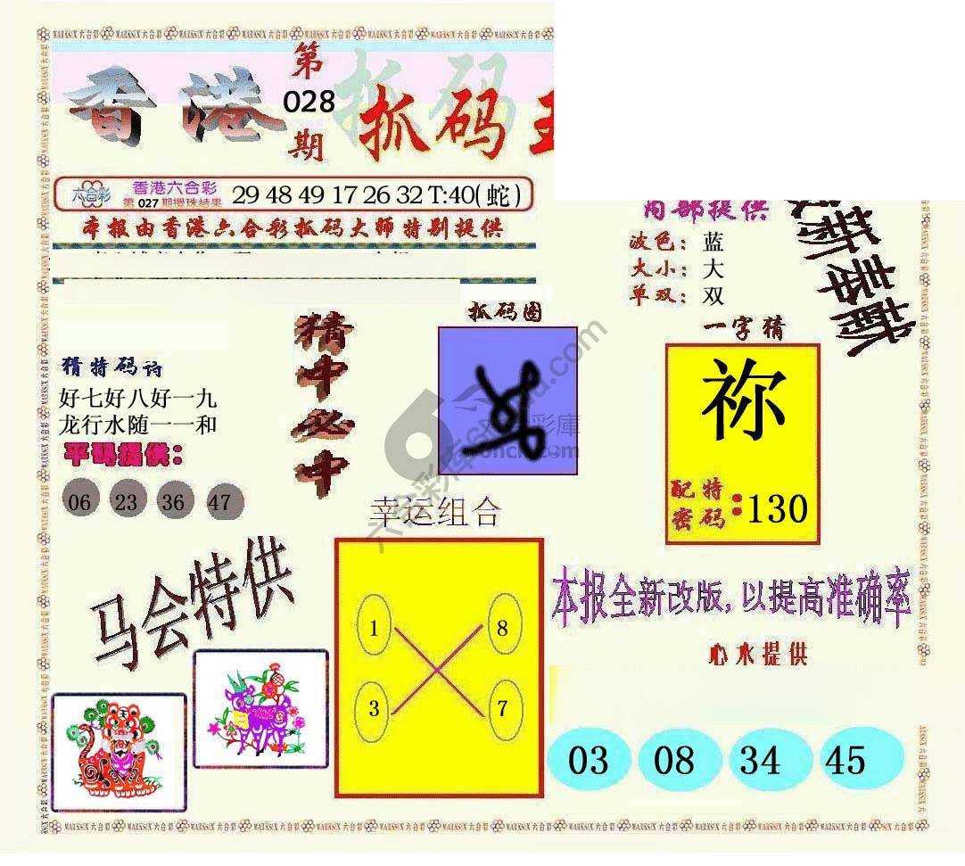 新抓码王