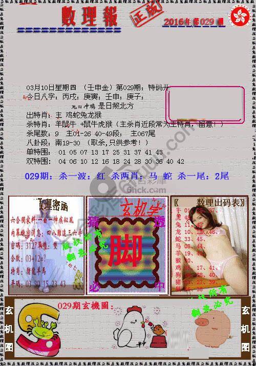 数理报
