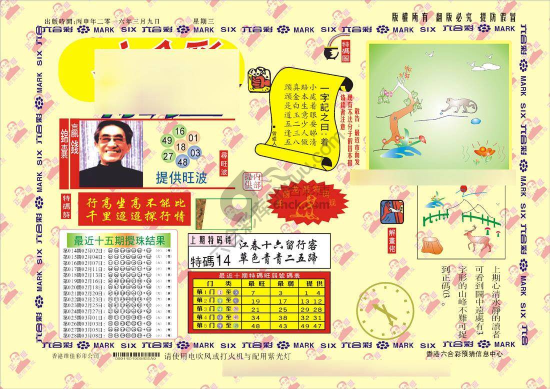特码王