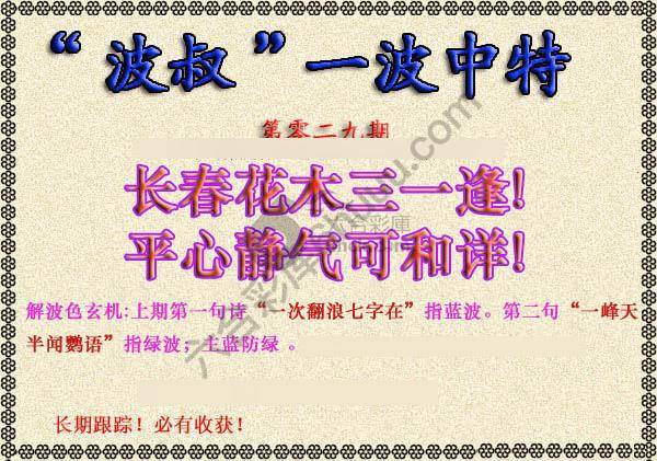 波叔一波中特