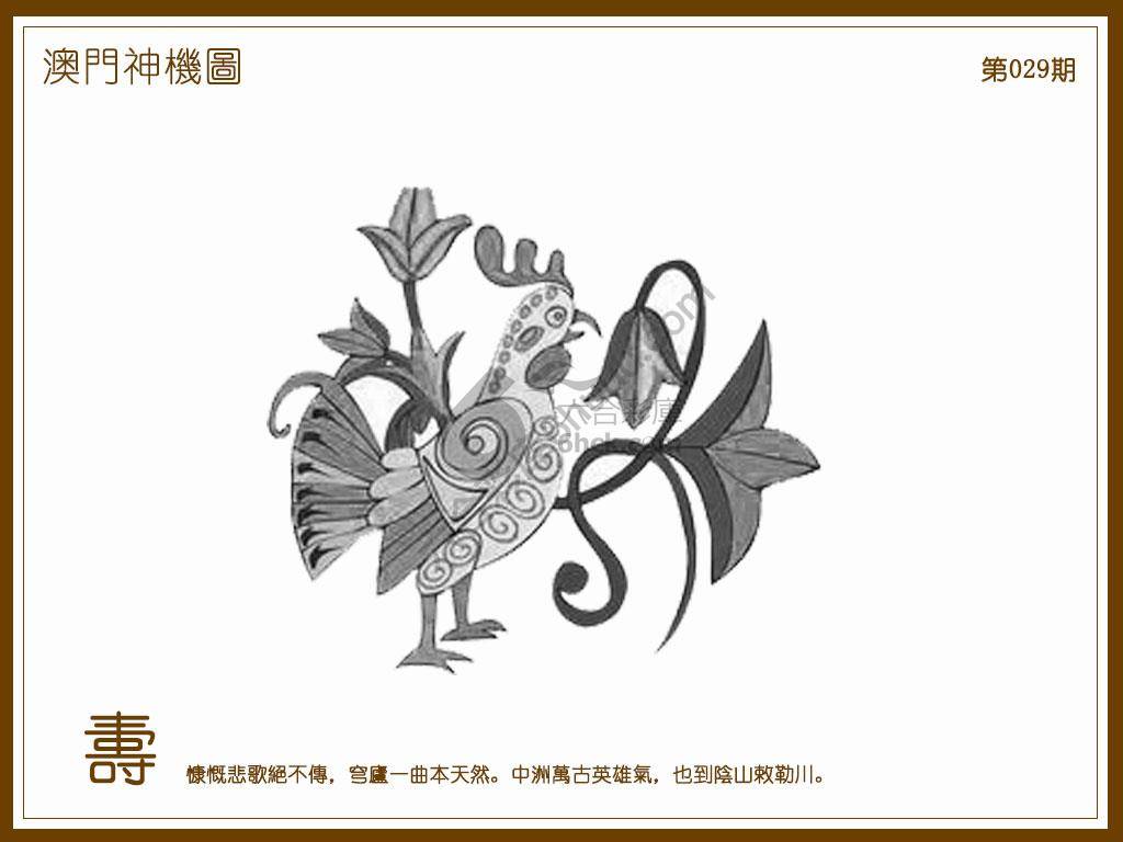 澳门神机图