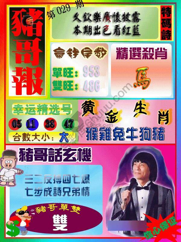 猪哥报