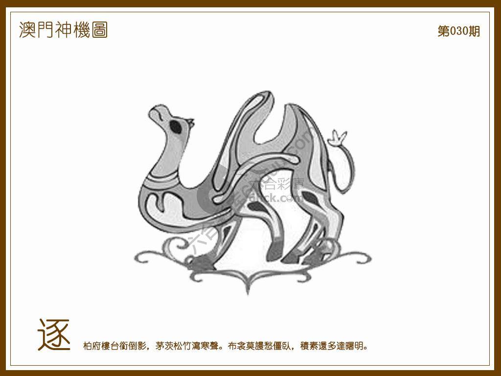 澳门神机图