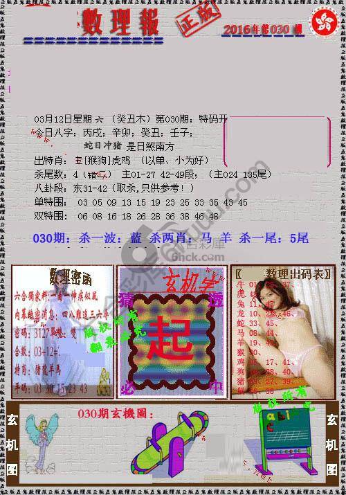 数理报