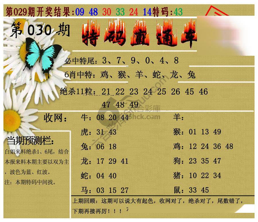 特码直通车
