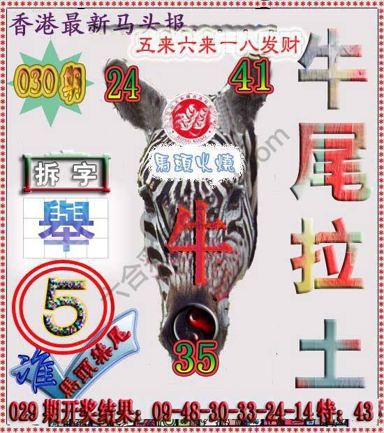 香港马头报